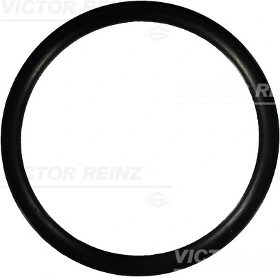 Seal Ring